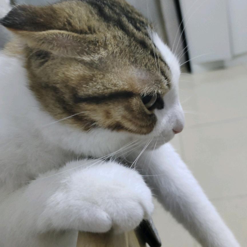 年