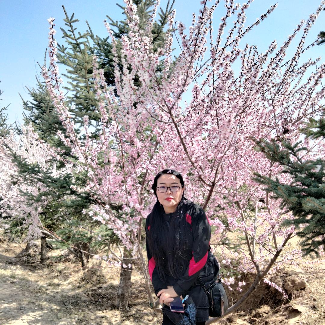 我是店长（可见泽西栖1号帐篷营地）