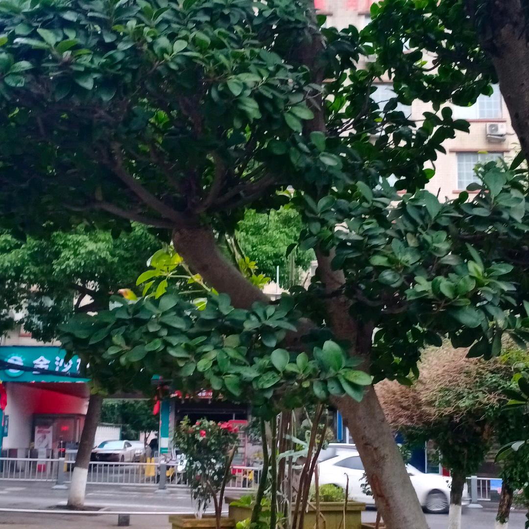 用户9970542097041