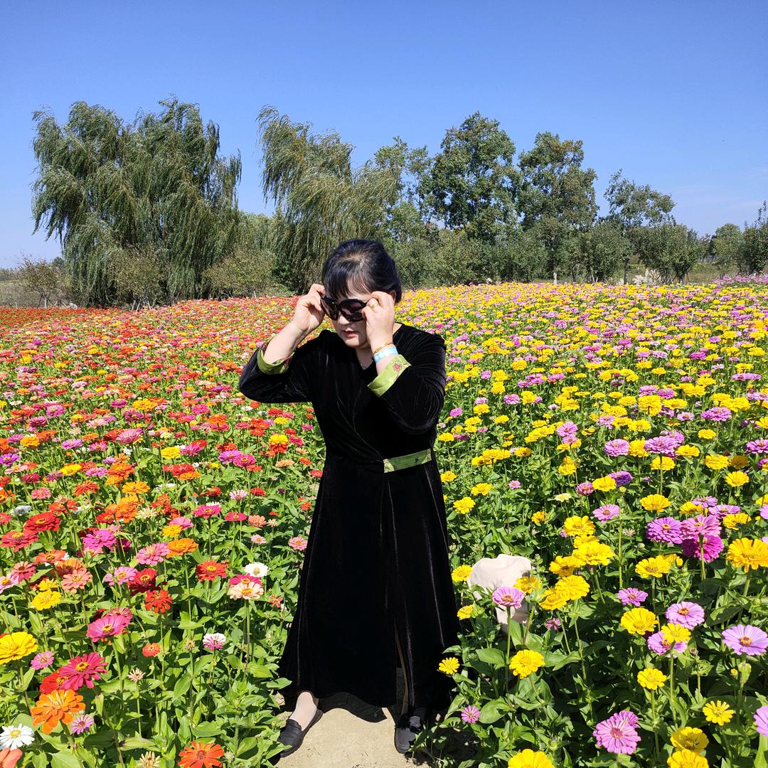 于姐说媒！(不成功,不收费！)招合作伙伴