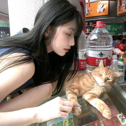 梧桐诗.