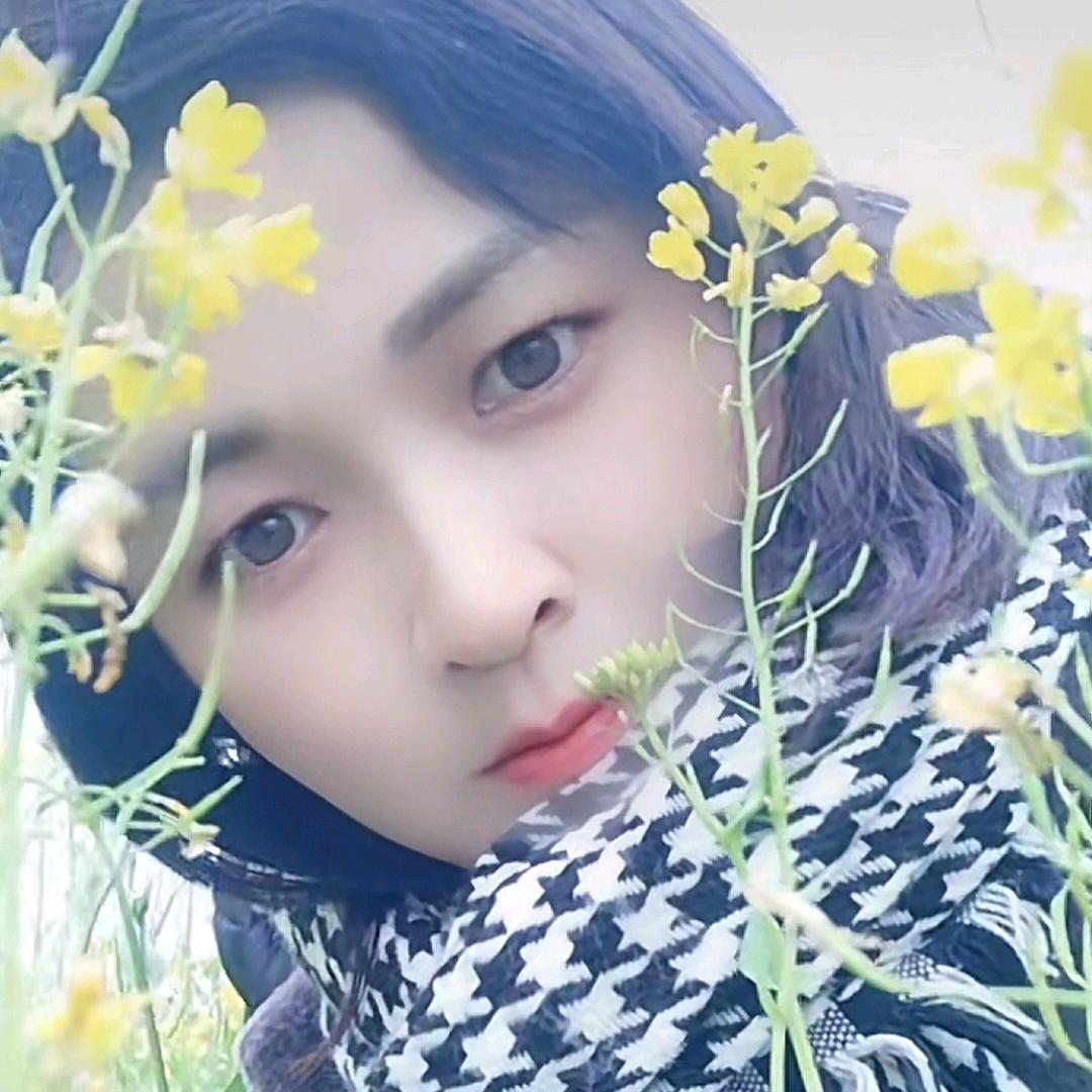 💞᭄ꫛ董小姐꧔ꦿ᭄💞