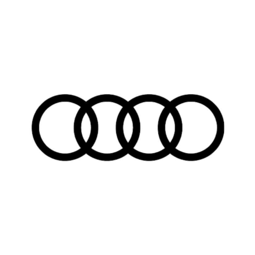 一汽奥迪新能源-济南润华天泽