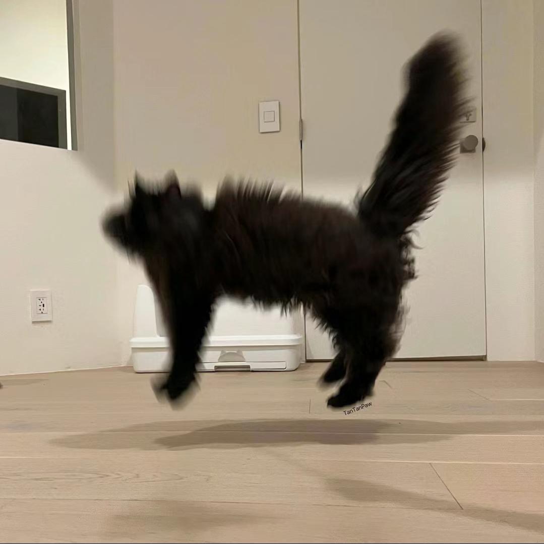 凛