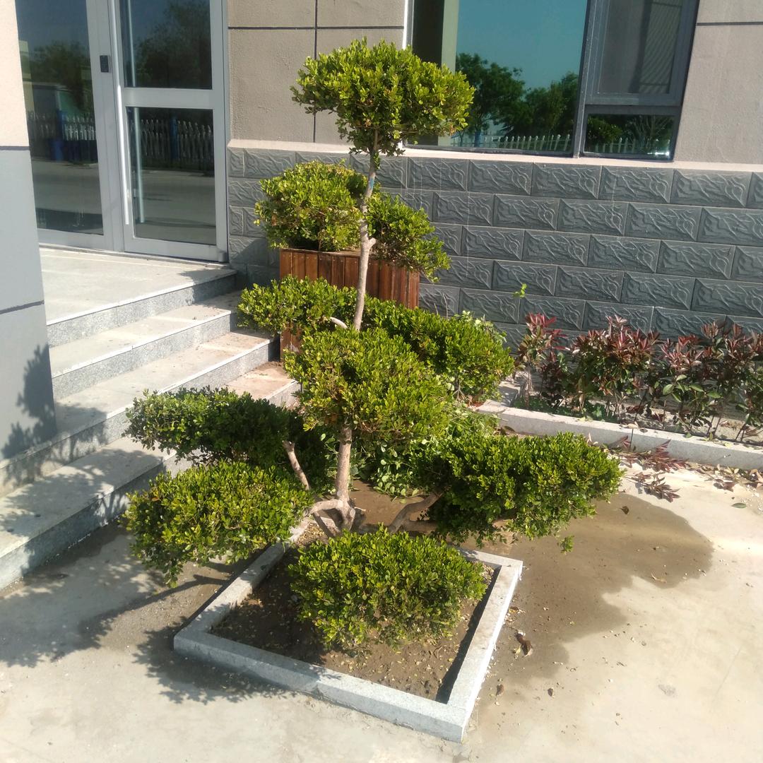 龍行天下