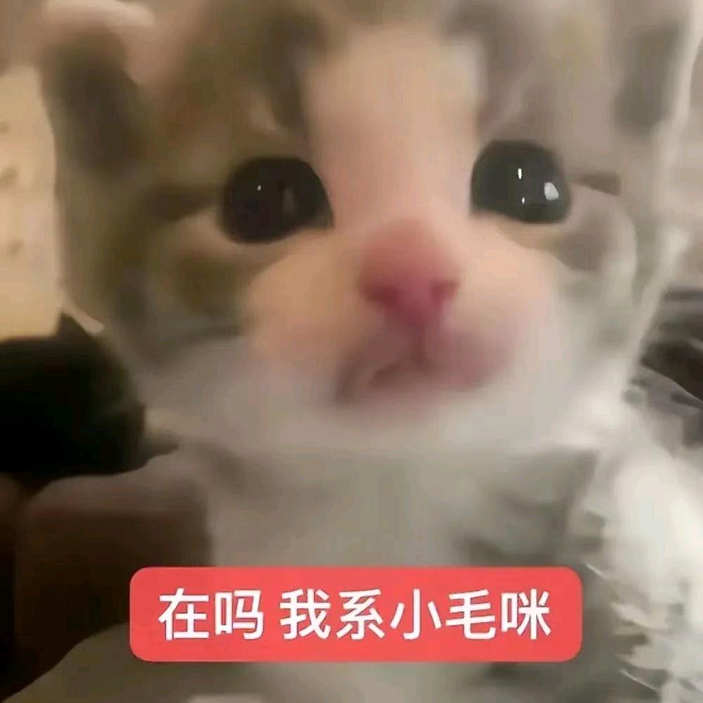 佩佩（恐游版）