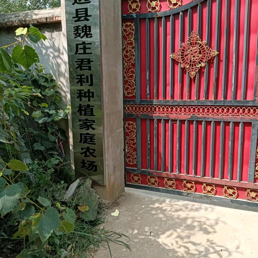 怀远县魏庄君利家庭种植农场