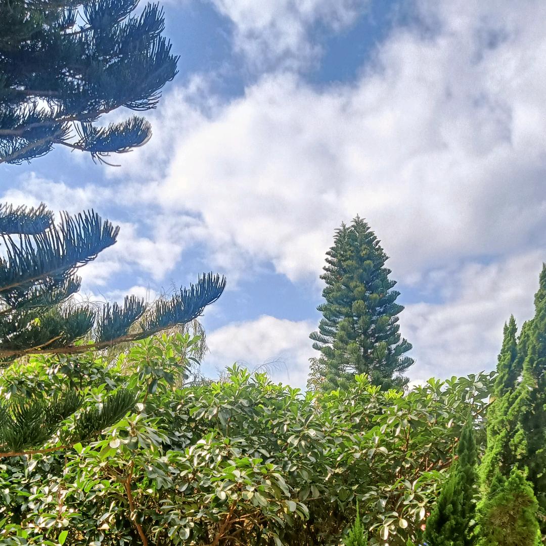 春去🦜🦚秋来🌿🍀