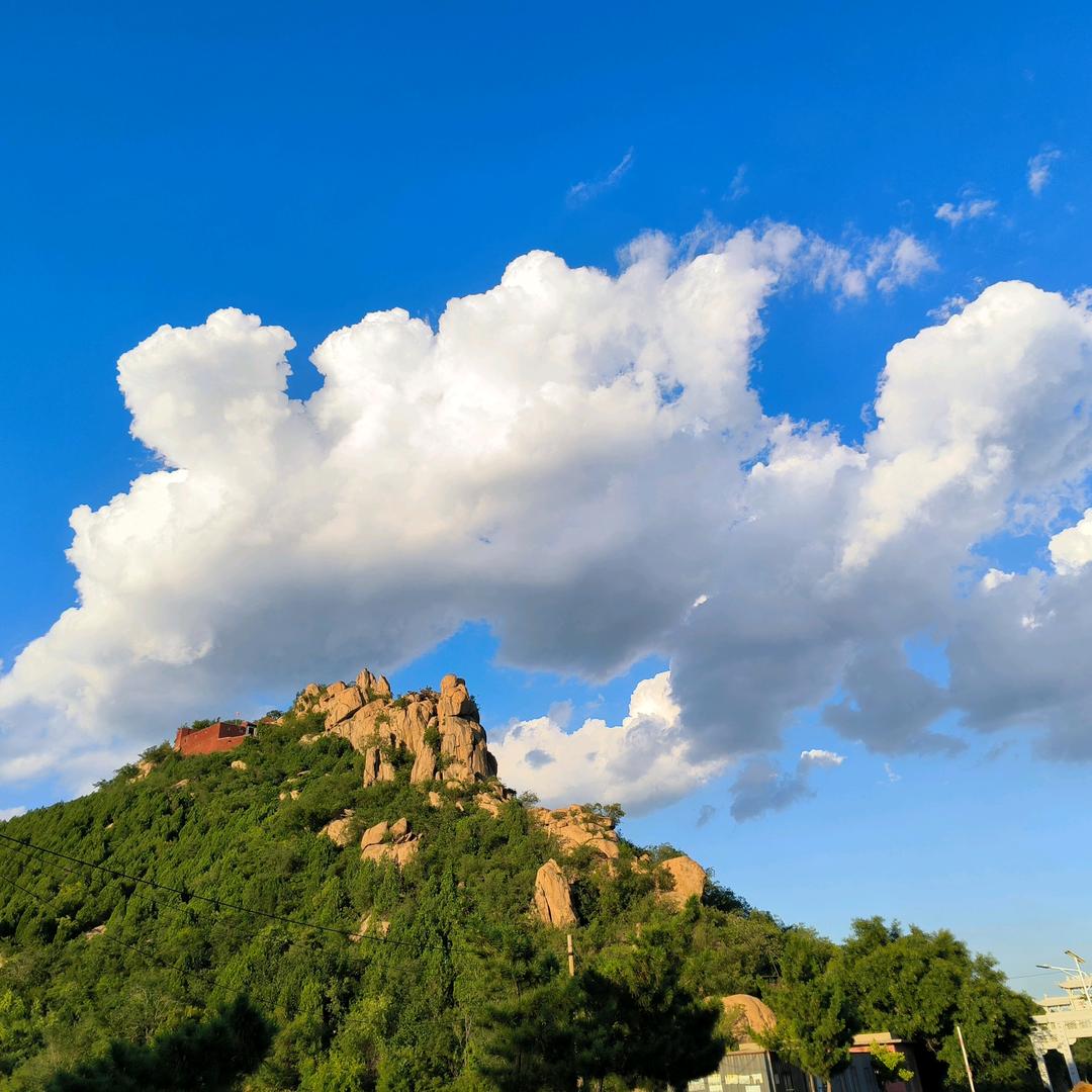 又菜又爱玩!