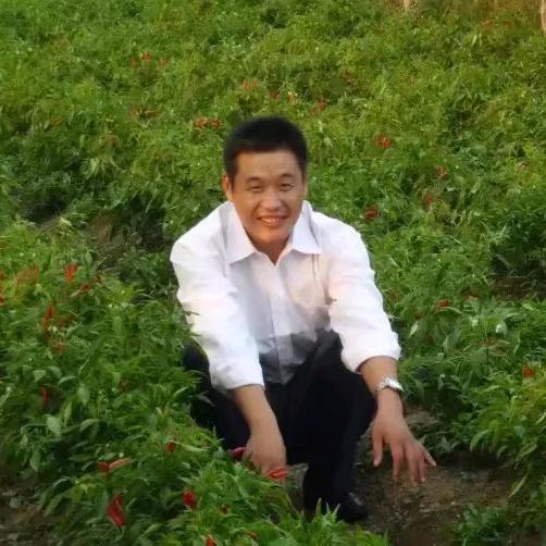 蚂蟥养殖