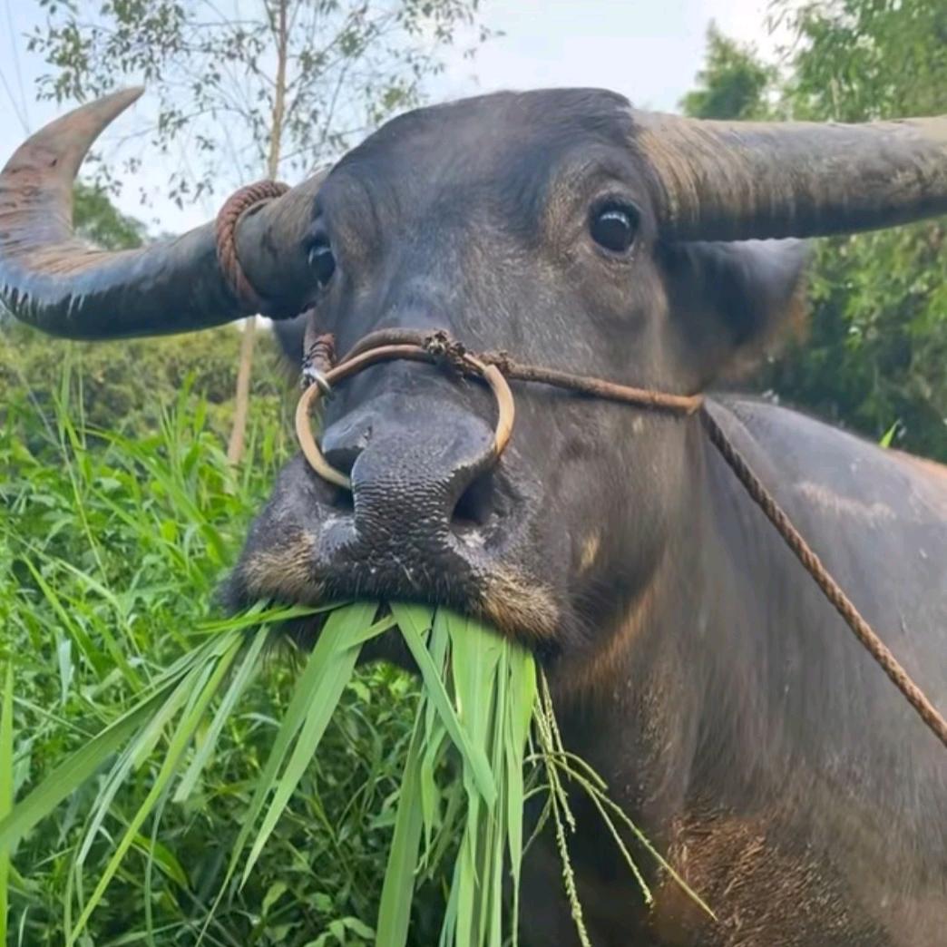 暮然回首脖子疼
