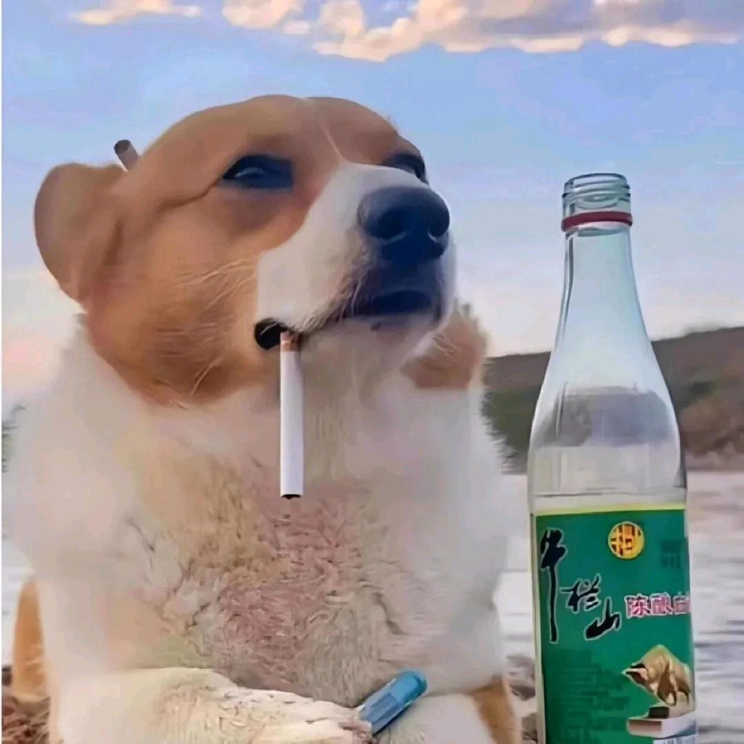 (ಡωಡ) 老卡呀