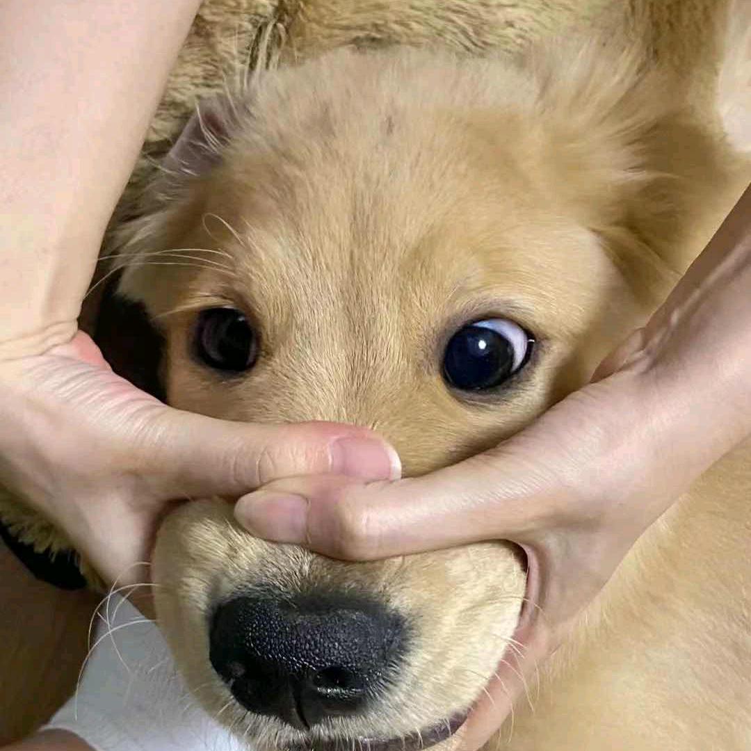 今晚早点睡~