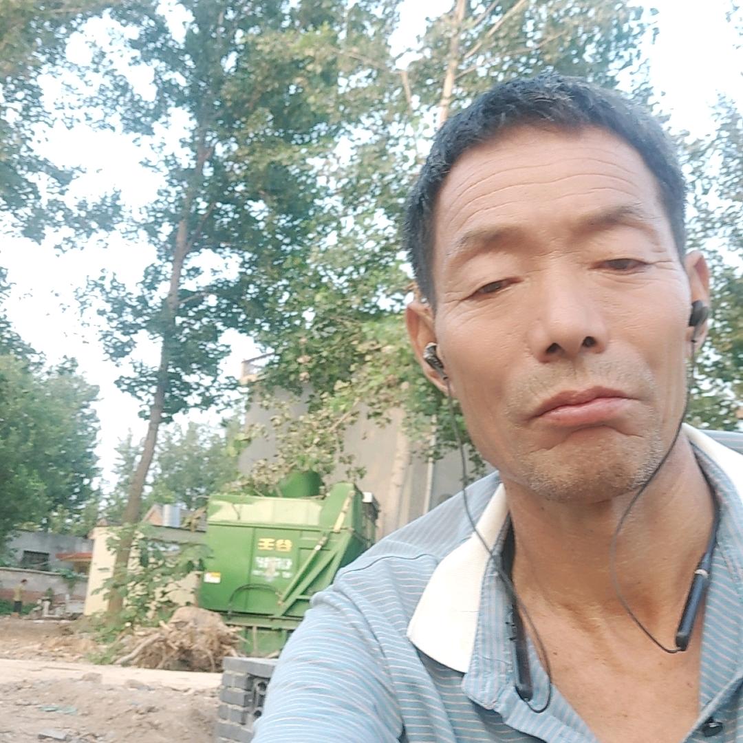 寻找失去的愛