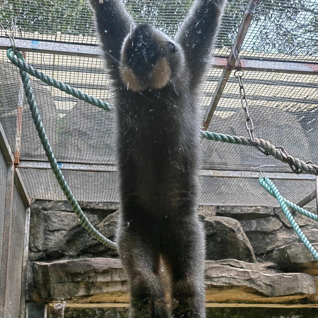 下雨天了怎么办