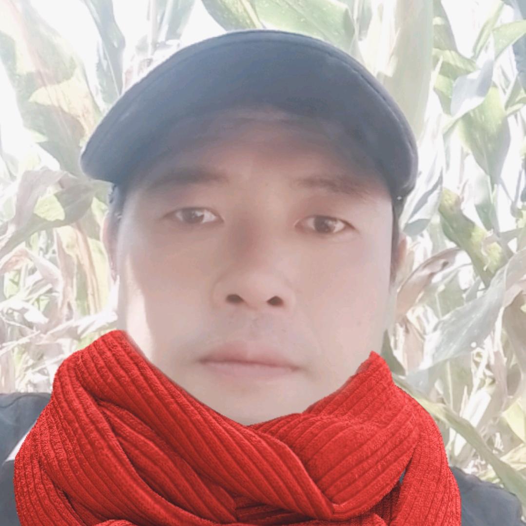随缘的，孤狼