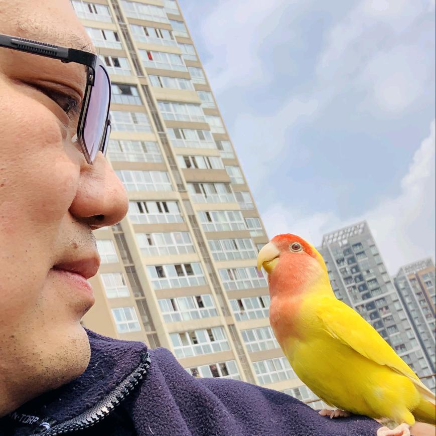 勒是🐸青蛙的鹦鹉🦜