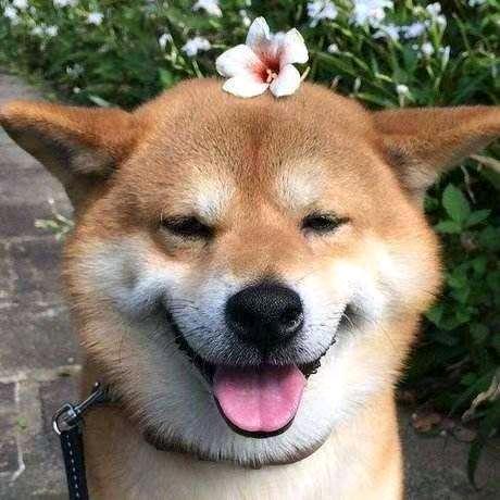 七月想要个修勾