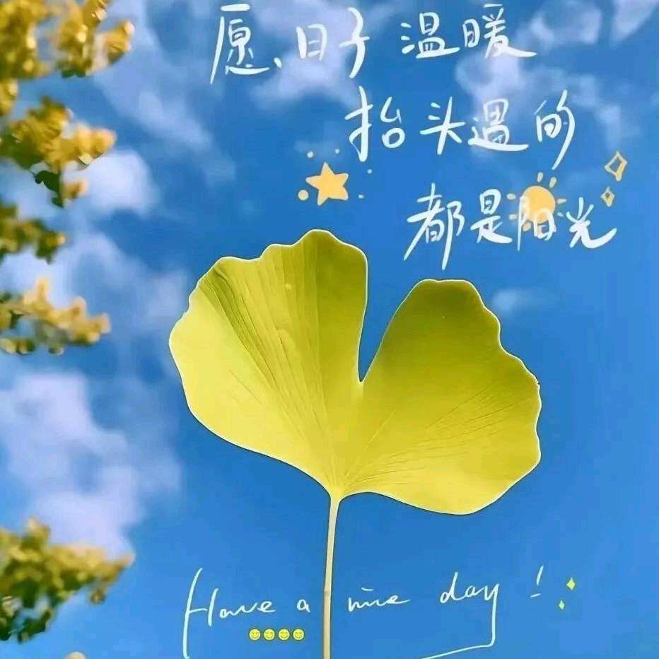 ꪋꪆ꪿半颗糖🍒꯭এ҉:
