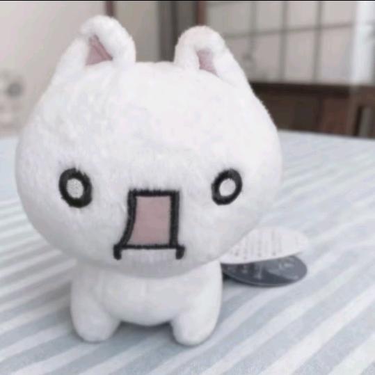 🫧•͈ᴗ⁃͈★ 🥑