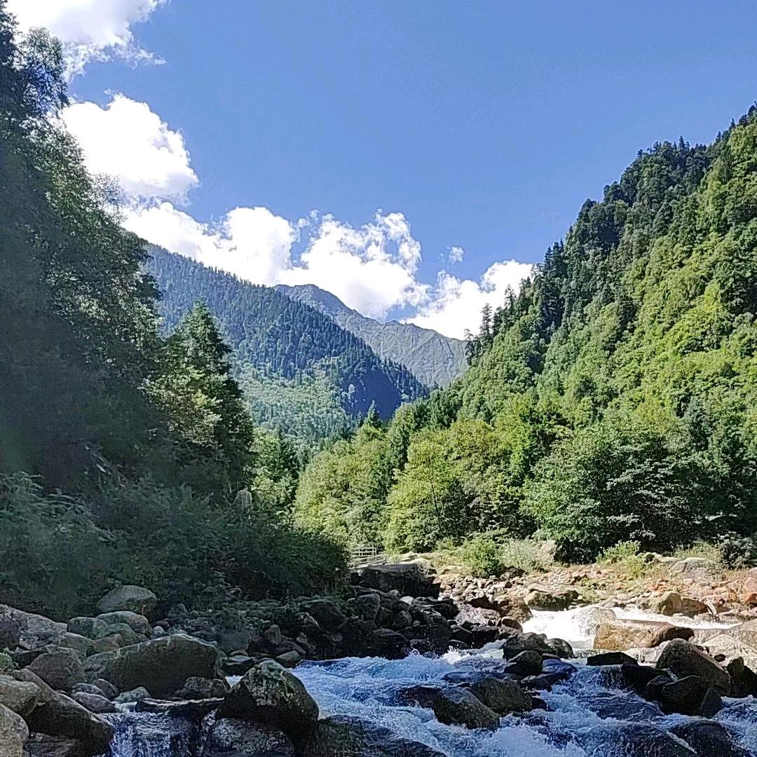大山子