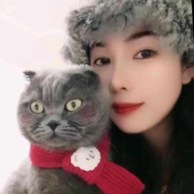 🐈“臻臻”“团团”