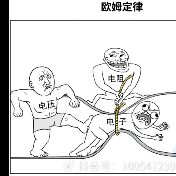字情🪳