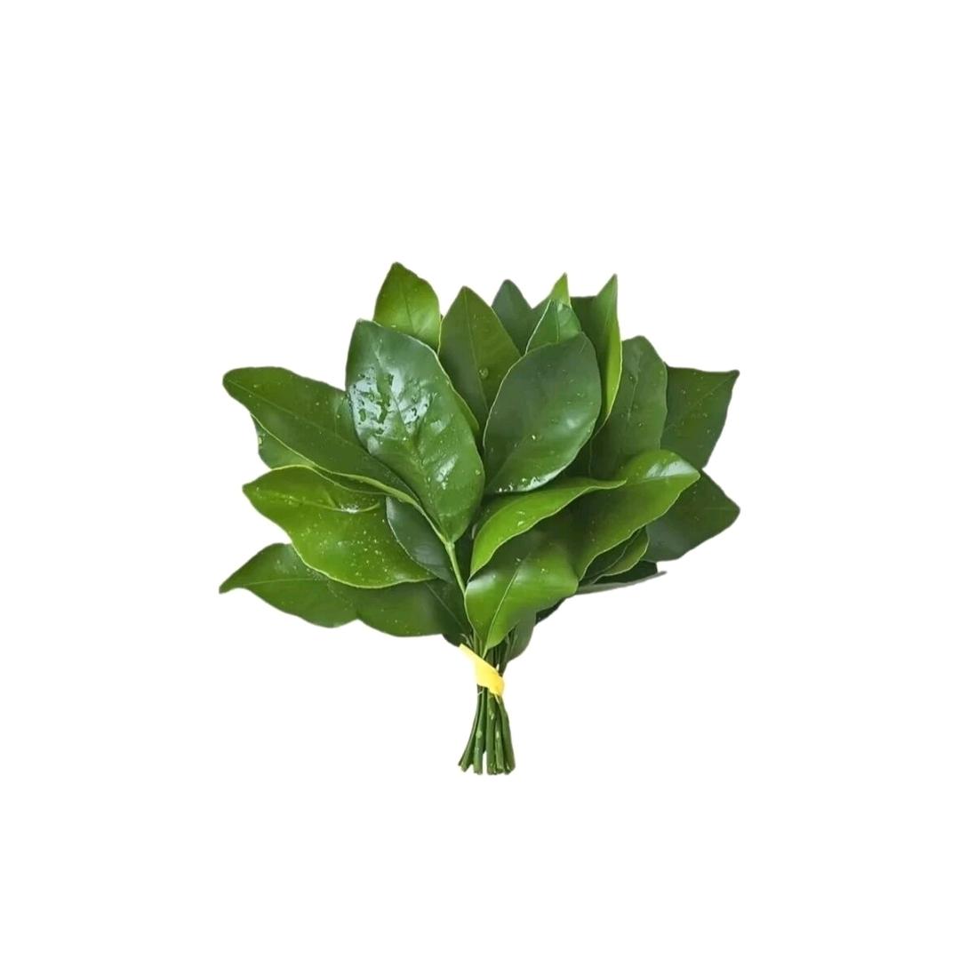 来个瑶大王