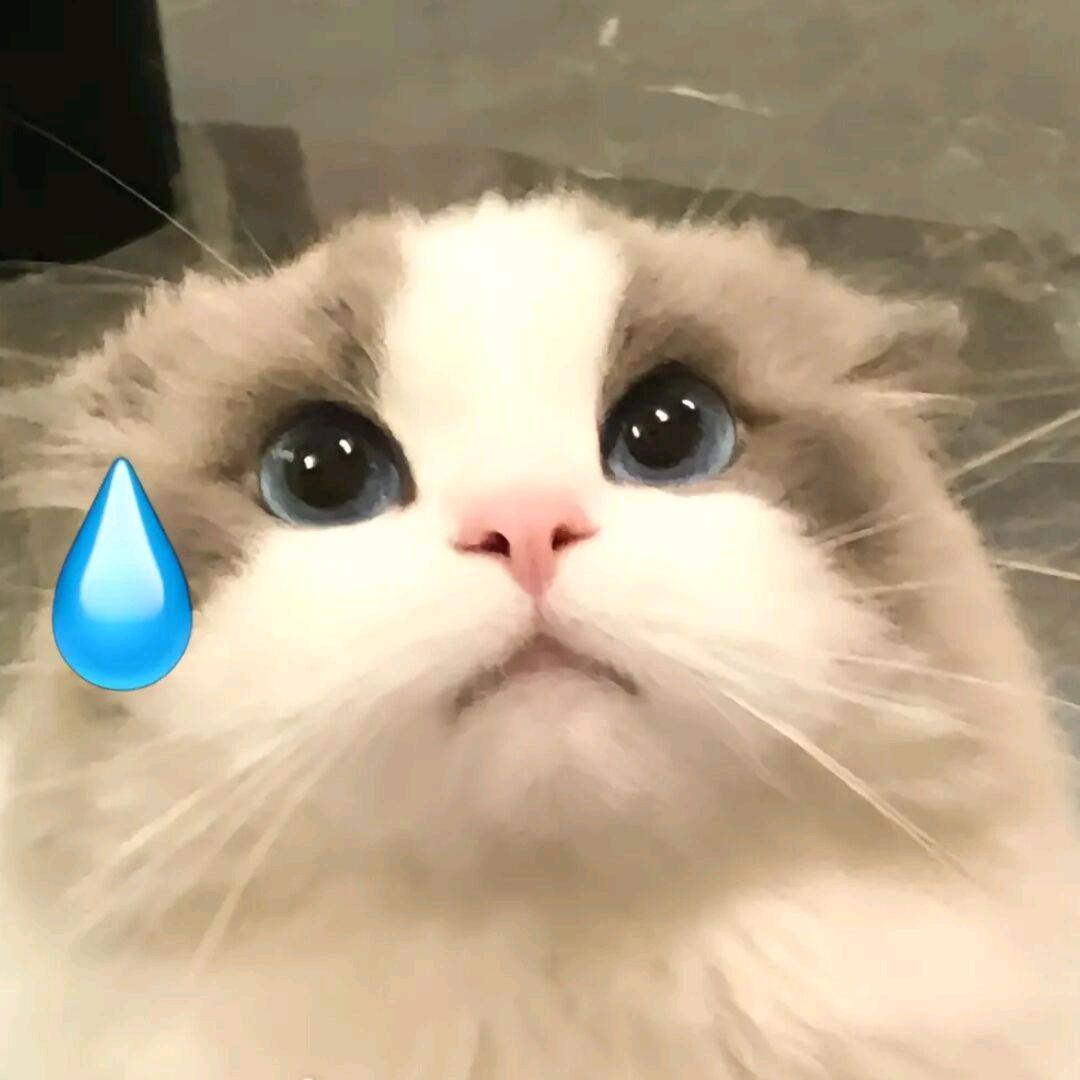 我想干嘛就干嘛