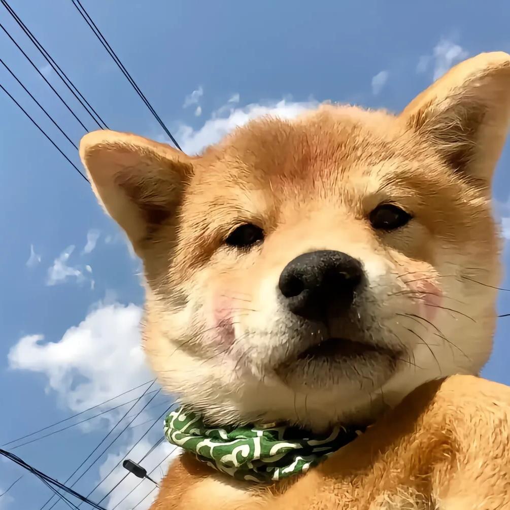 由你吧