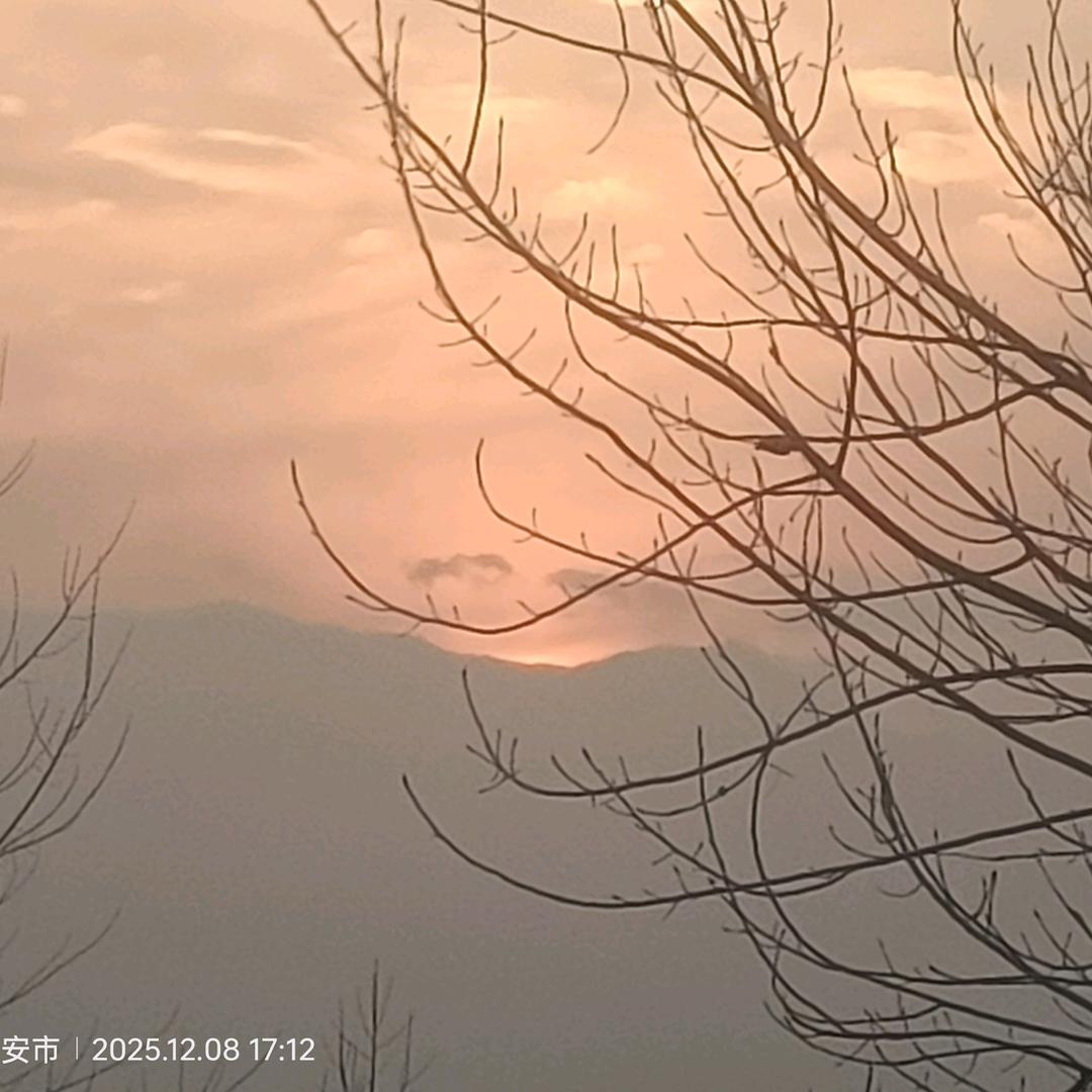 ∠( ᐛ 」∠)_看戏