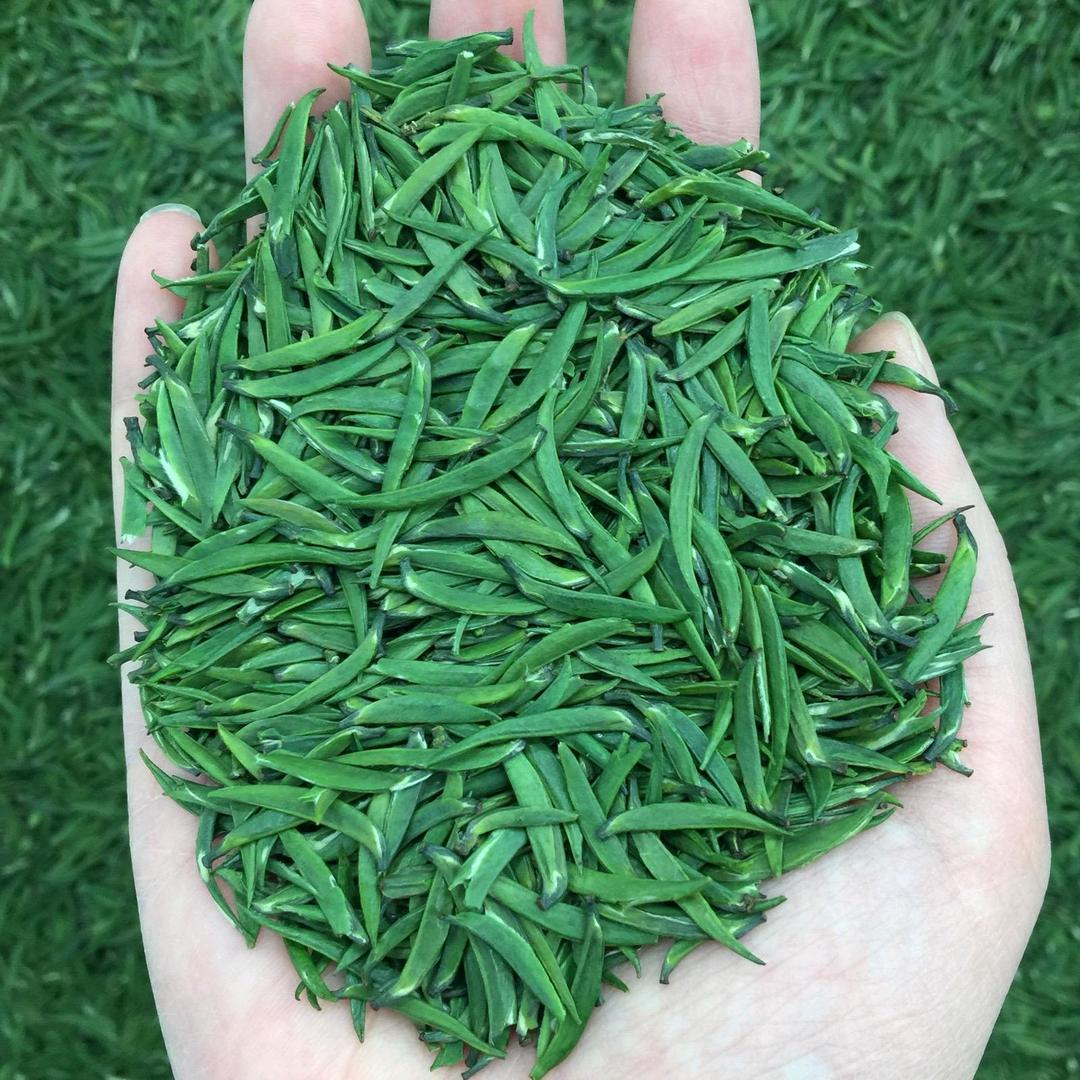 小蜜蜂茶业
