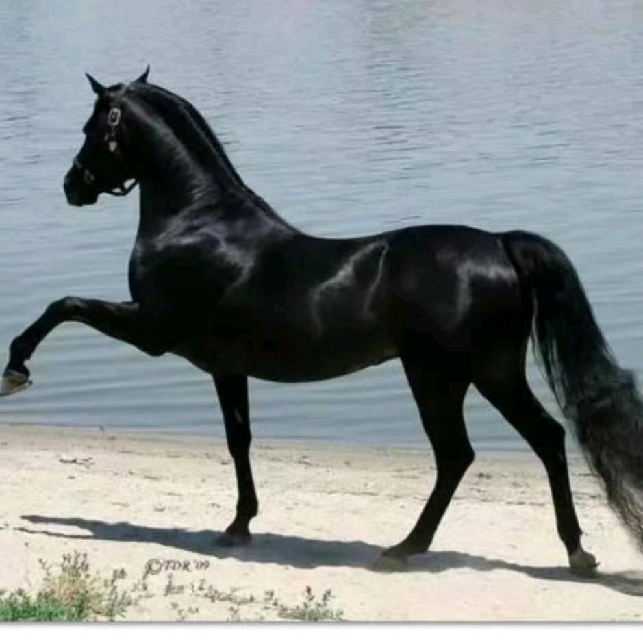 鑫宇