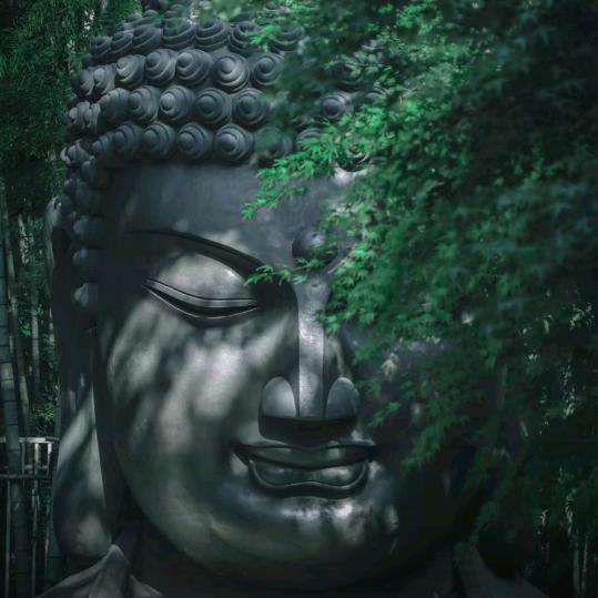 步阳·欧派安全门·陈玲