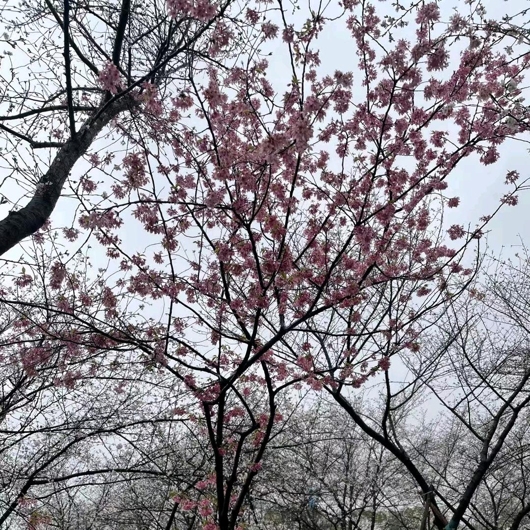 江湖。