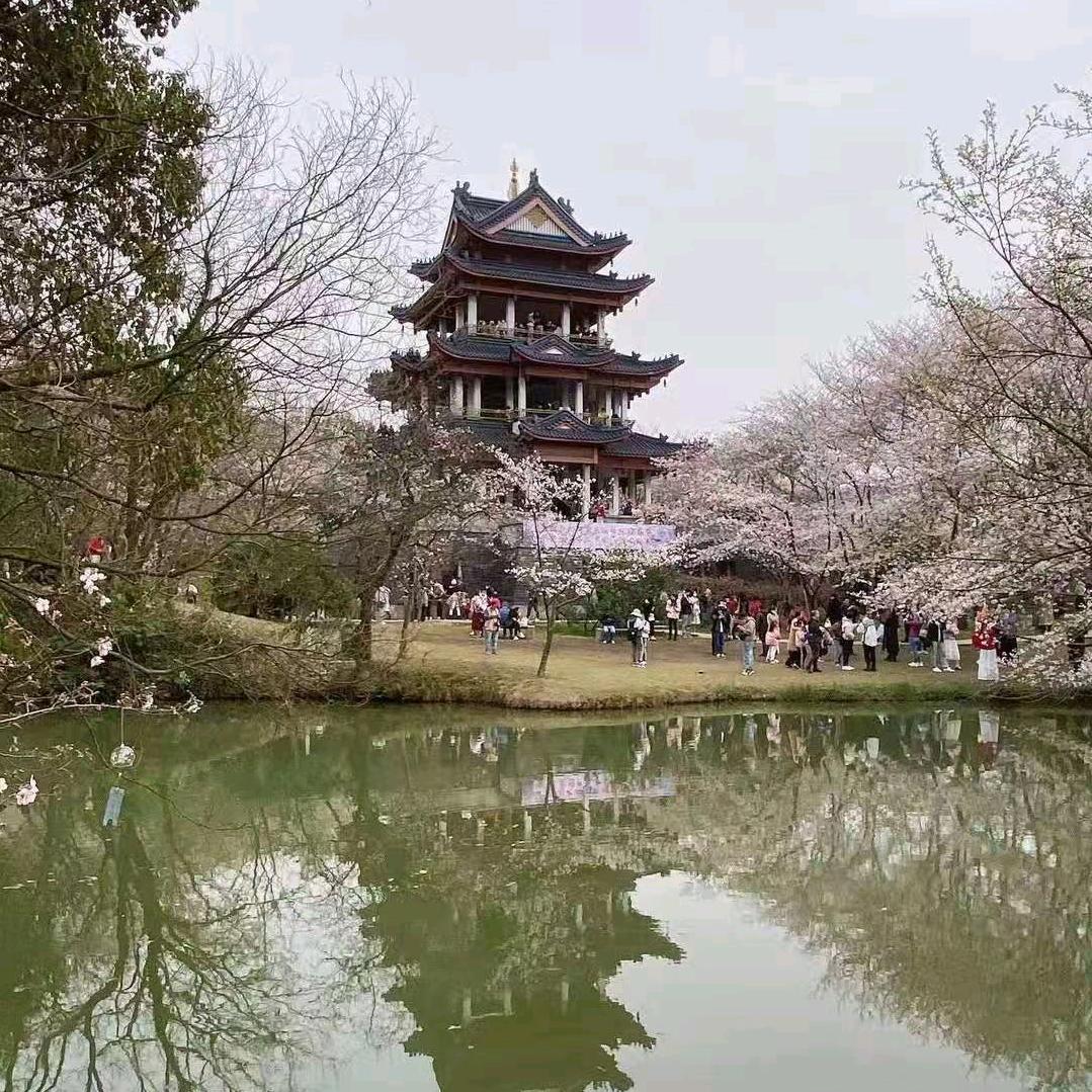 光头帅帅😇🚬🦋