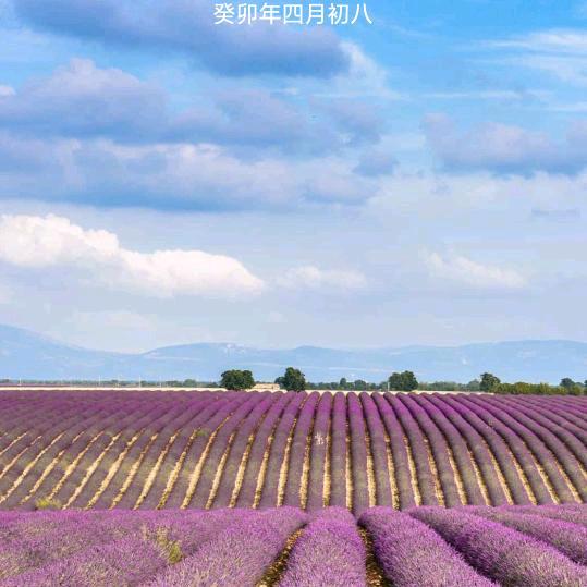 眉飞色舞一生何求