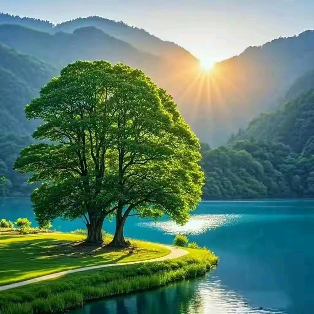 吃土豆长大的马铃薯