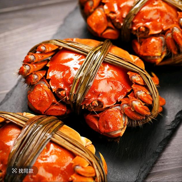 正宗苏州大闸蟹严选店