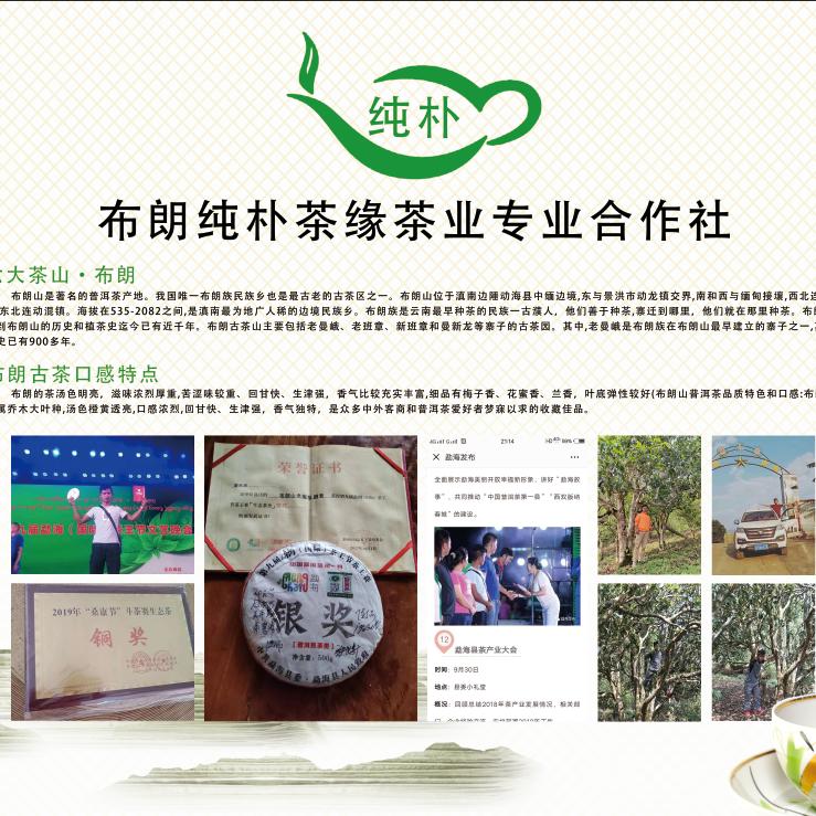 勐海布朗纯朴茶缘茶业专业合作社