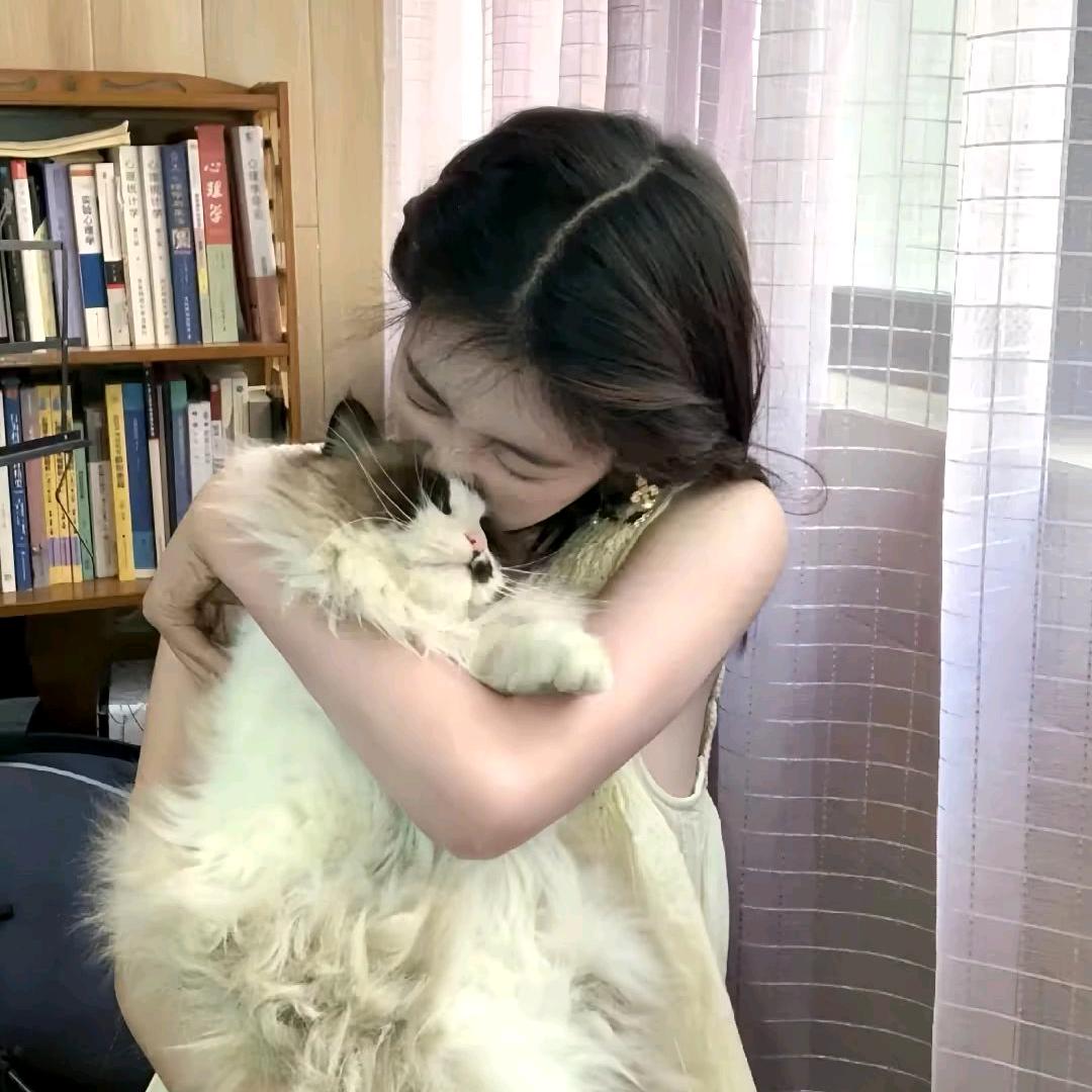 归栀.