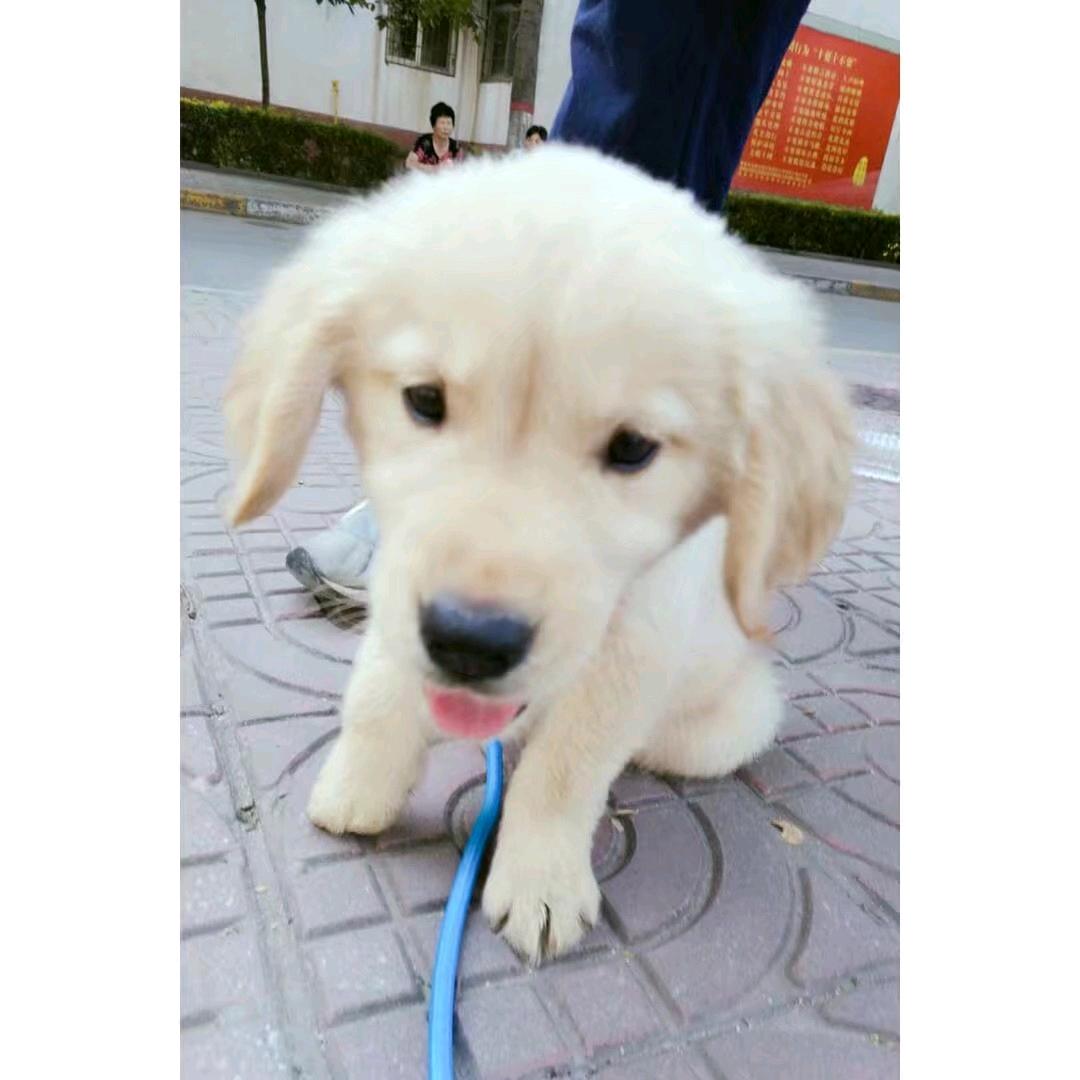 爱谁起名谁起名