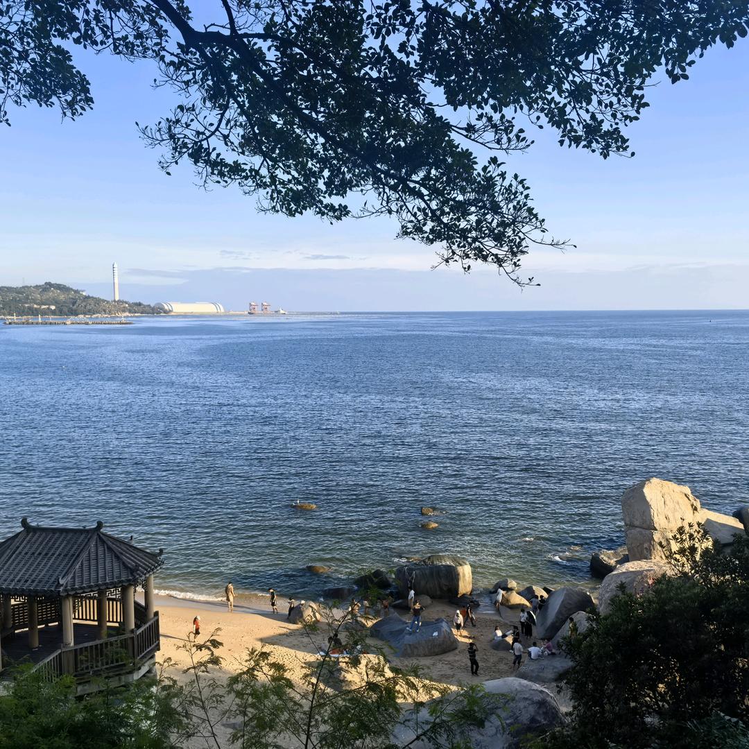 小陈吖