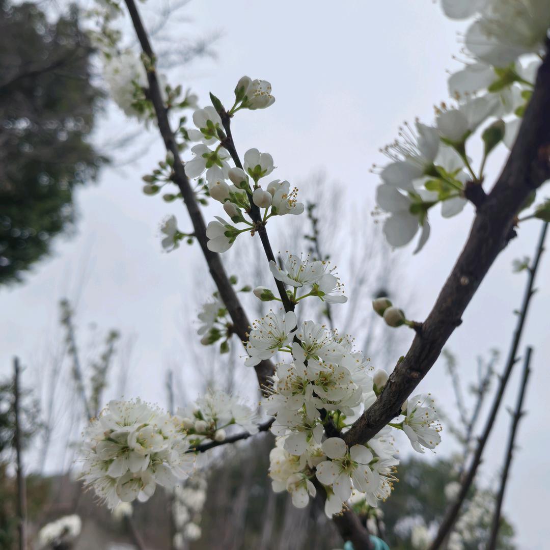 东坡书匠将军刘福明文具办公用品坊