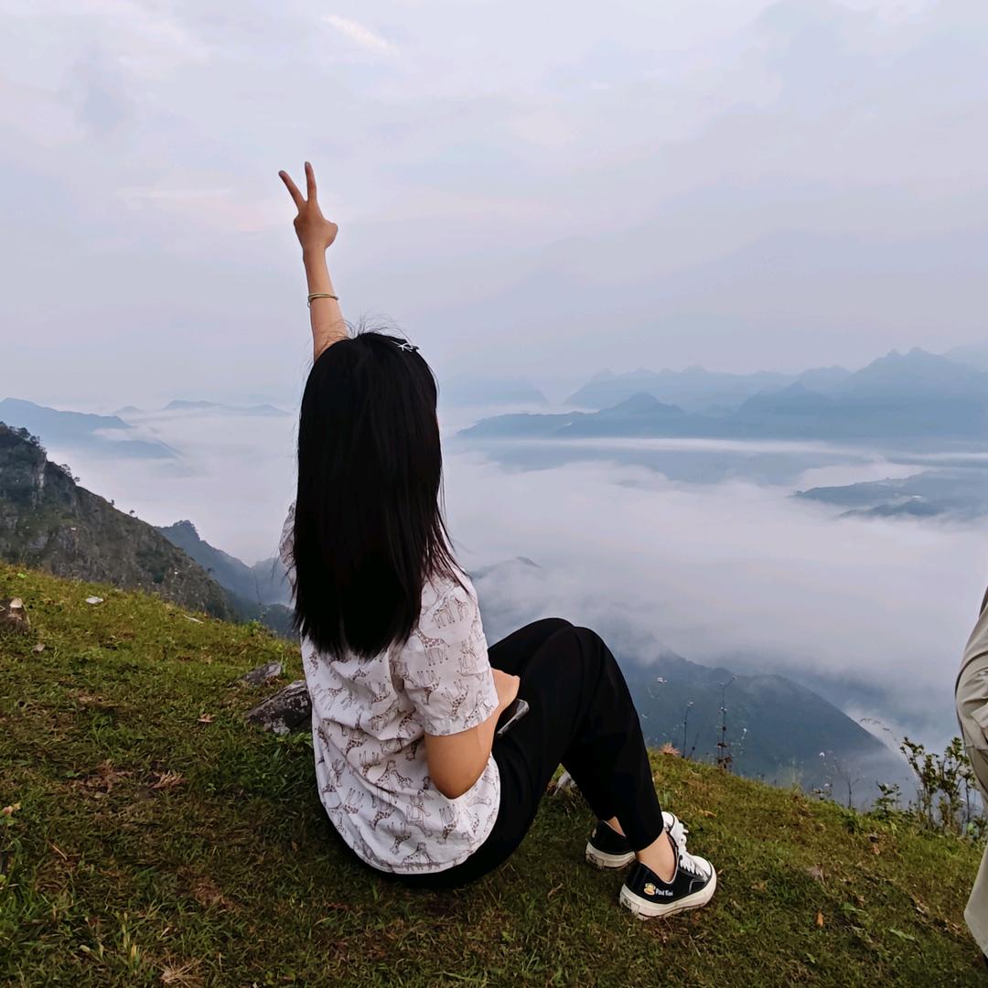 雾里聆风起
