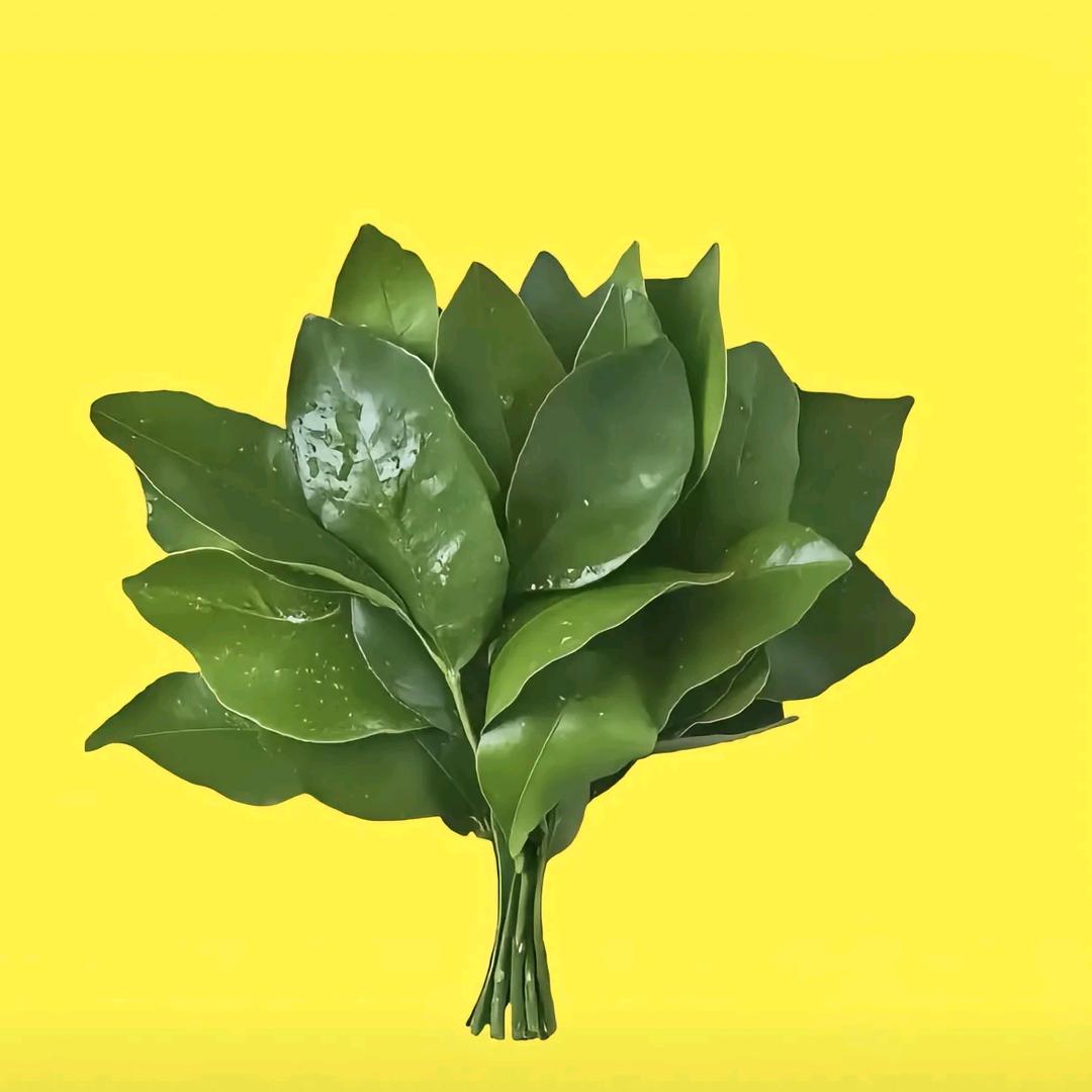 Chef 'H.u.a.n.g᭱ꦿএ