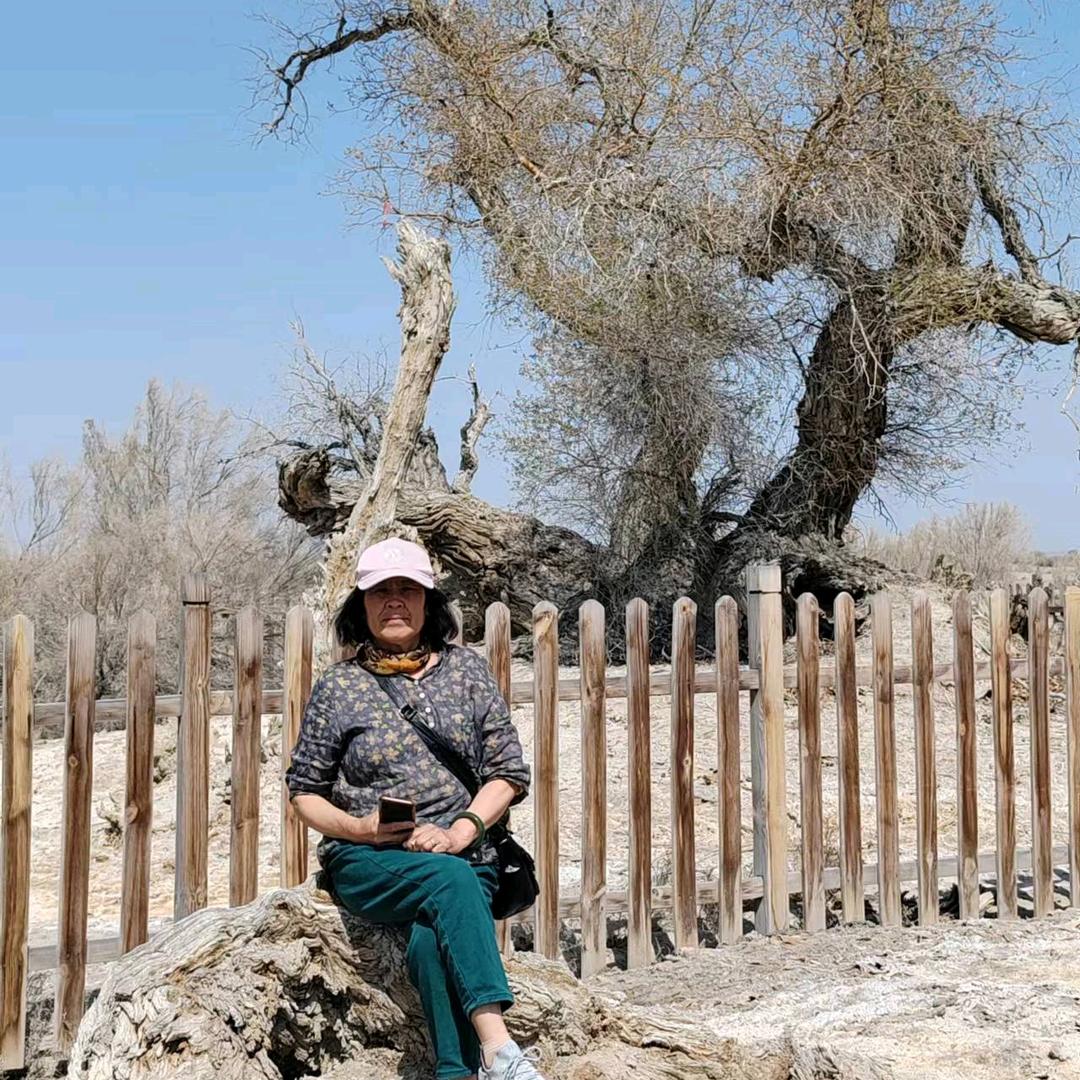 翠绿        （拒绝私聊）