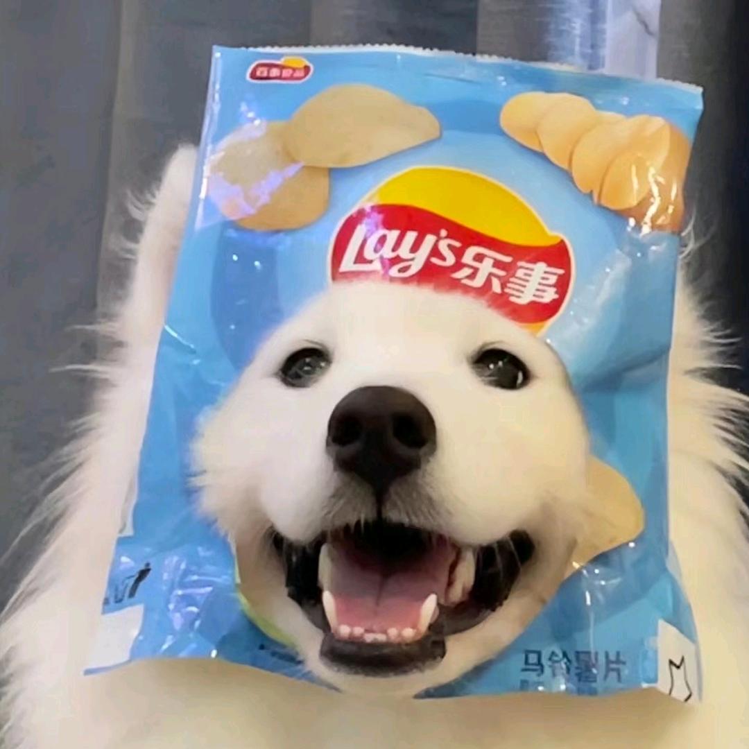大季炖蘑菇