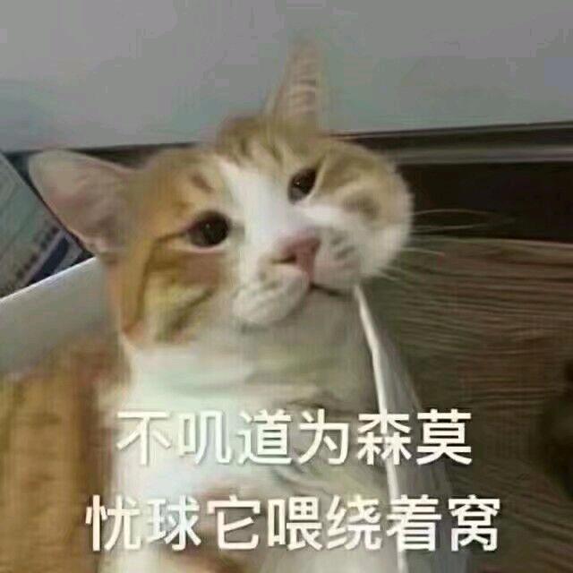 嘻嘻不嘻嘻