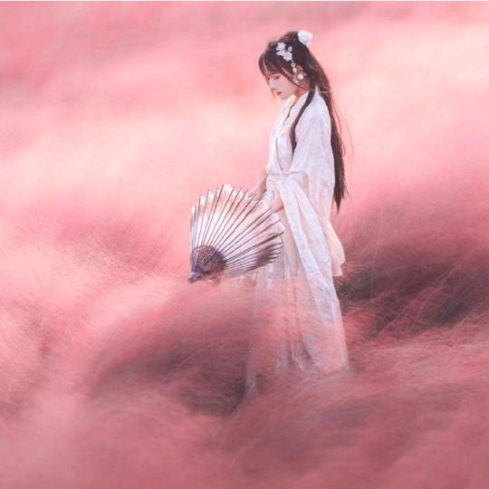 清浅